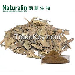 Ivy Leaf Extract