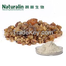 Frankincense Extract / Boswellia Extract