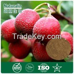 Hawthorn Fruit Powder