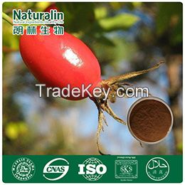 Rosehip Extract