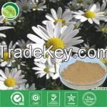 Chamomile Extract