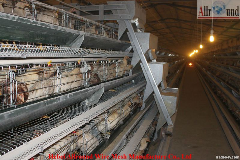 poultry equipment for egg layer cage products!!!