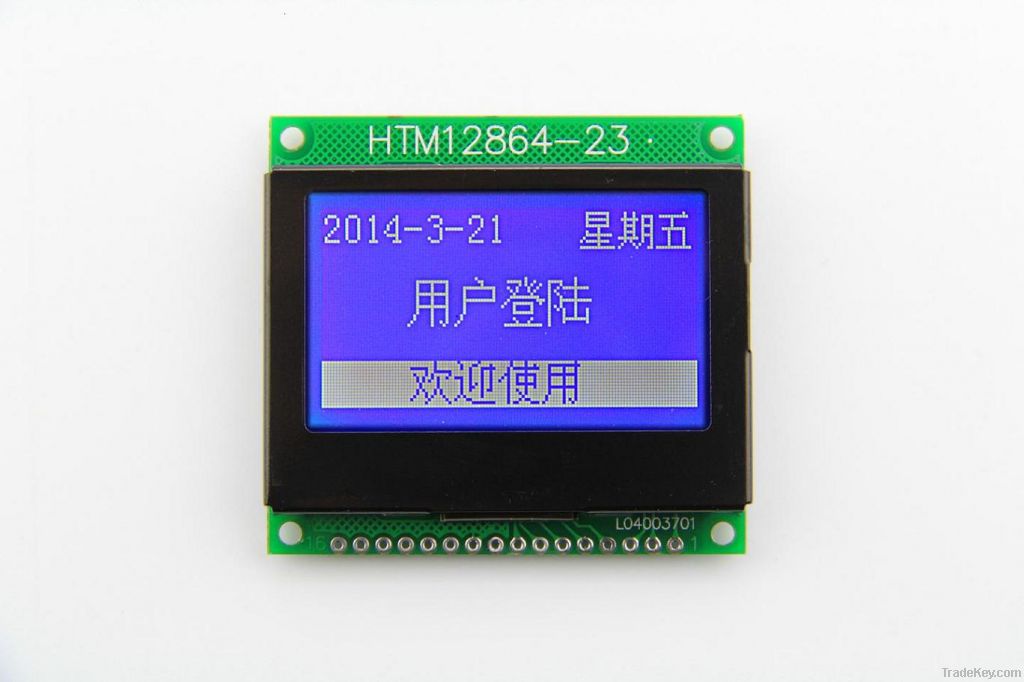 LCD module display