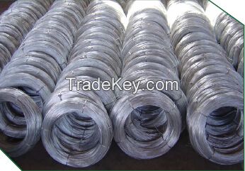 Galvanized Iron Wire for Binding