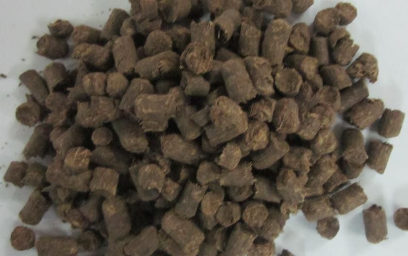 Sugar cane pellets