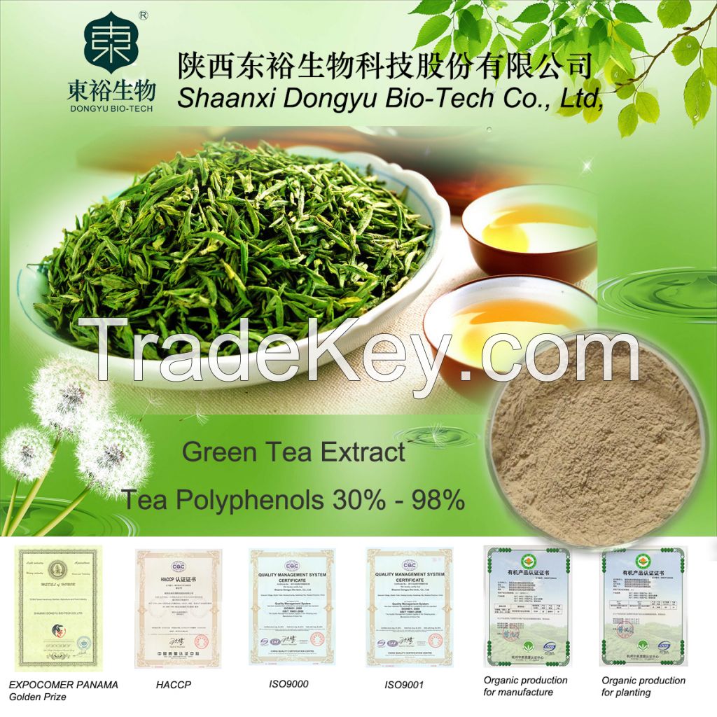 Green Tea Extract (Polyphenols)