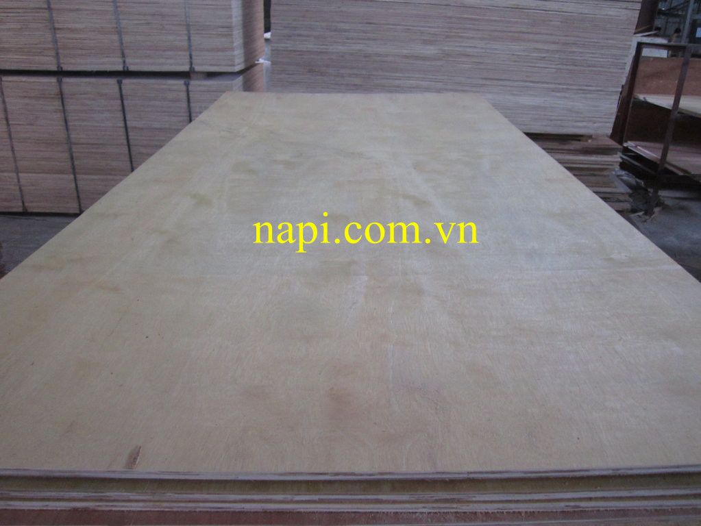 Vietnam High Quality Plywood for Japan Market