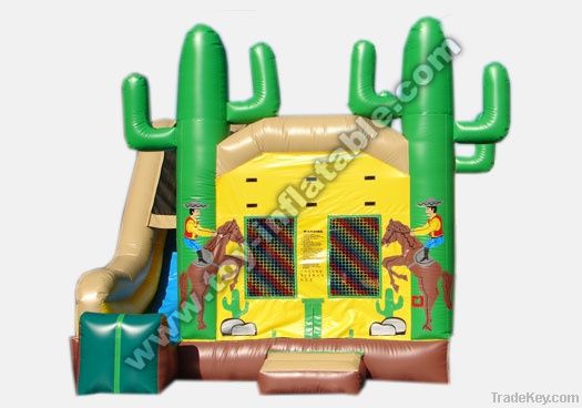 inflatable castle