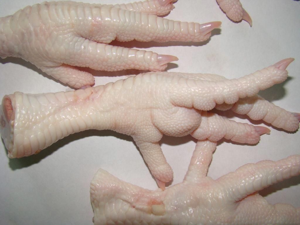 Frozen Chicken Feet, Clean Chicken Paws, Fresh Chicken Feed