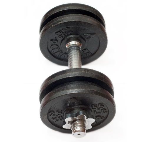 Free weight painted dumbbell 