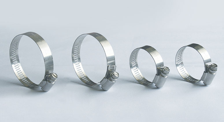 Stainless Steel Clamps