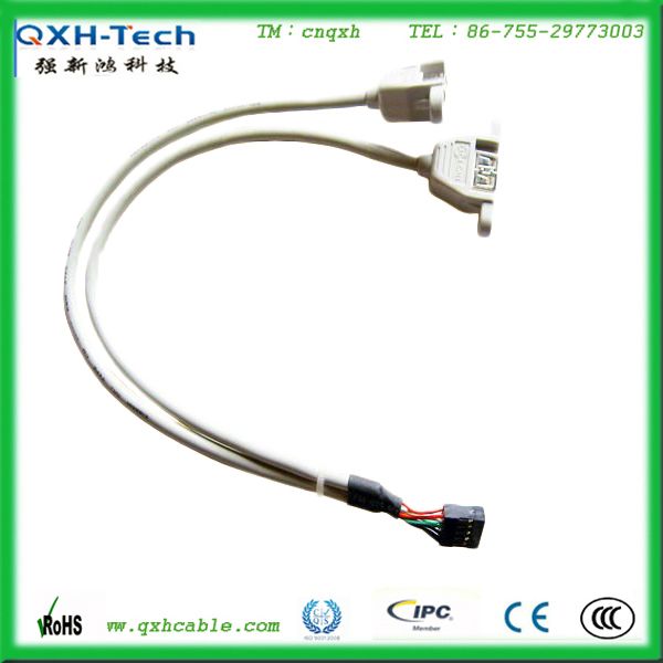 Housing wire to 2 USB cable