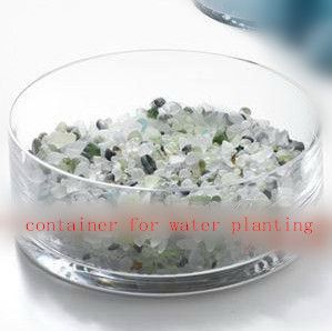 clear glass container for waterplanting/ fish