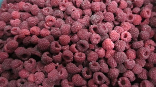frozen raspberry