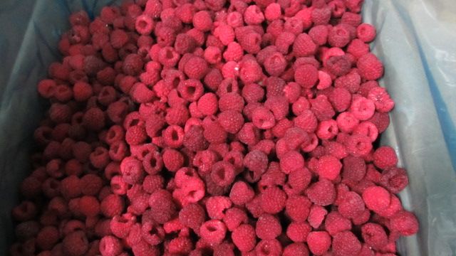 frozen raspberry