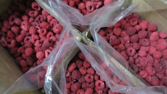 frozen raspberry