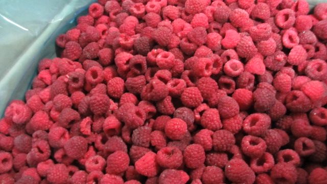 frozen raspberry