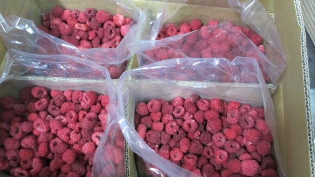 frozen raspberry