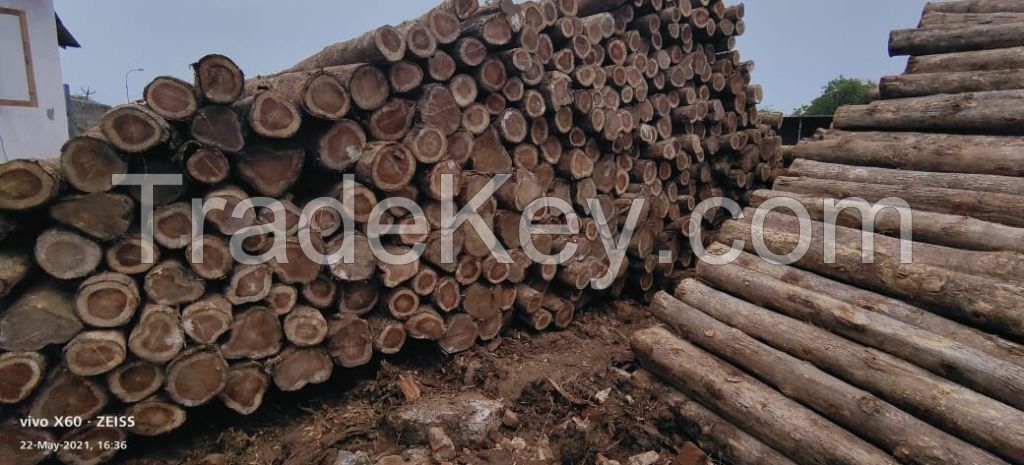 Teak round logs