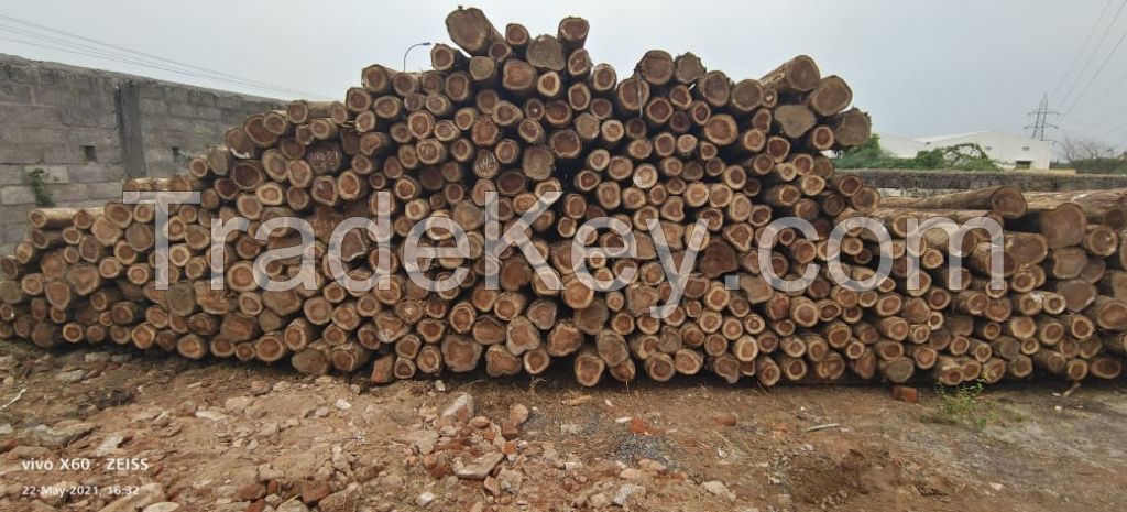 Teak round logs