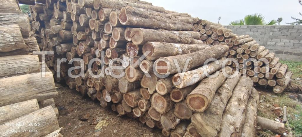 Teak round logs