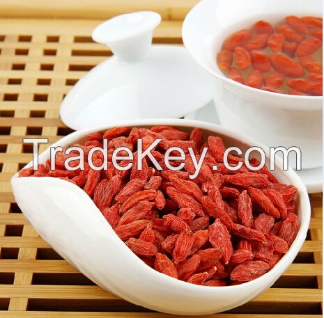 Chinese wolfberry, organic goji berry