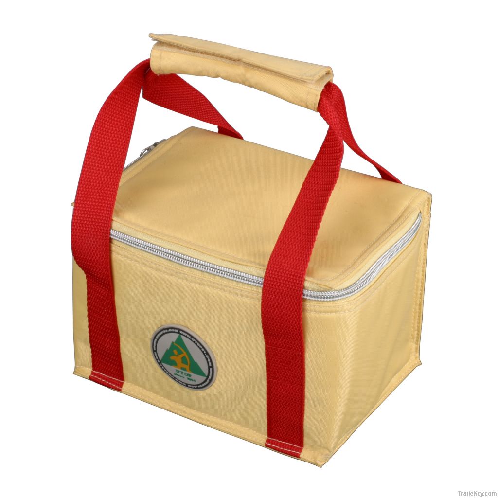 high quality colorful disposable cooler bag