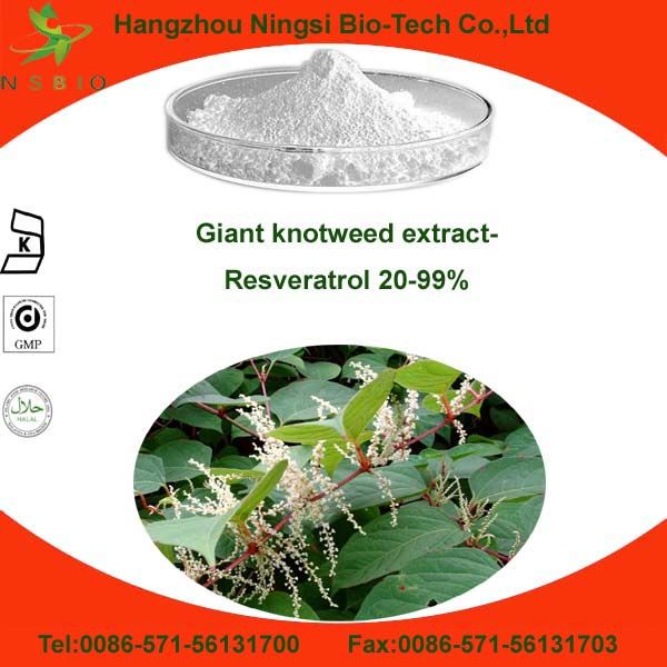 Polygonum Cuspidatum Extract Resveratrol