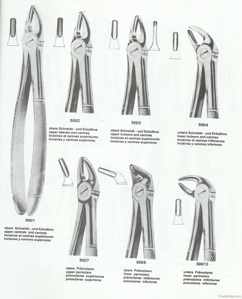 Extracting Forceps