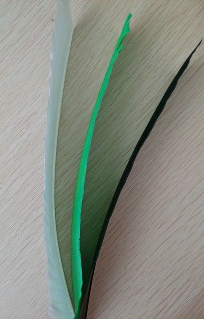 nature streamline turkey feathers for diy hunting arrows