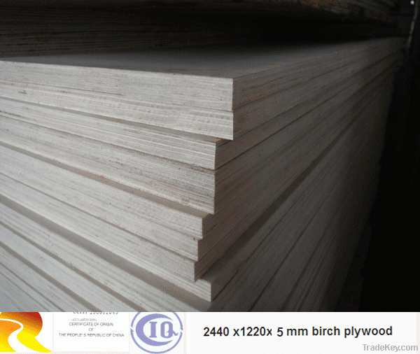 wholesale birch plywood