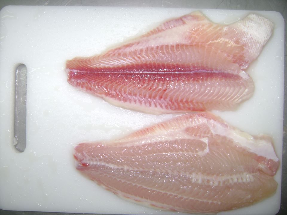 Pangasius Fillet