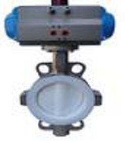 Lined Butterfly Valve