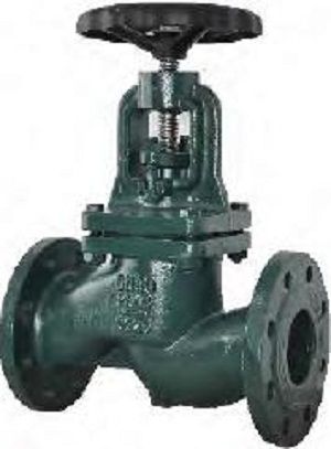 Globe Valve