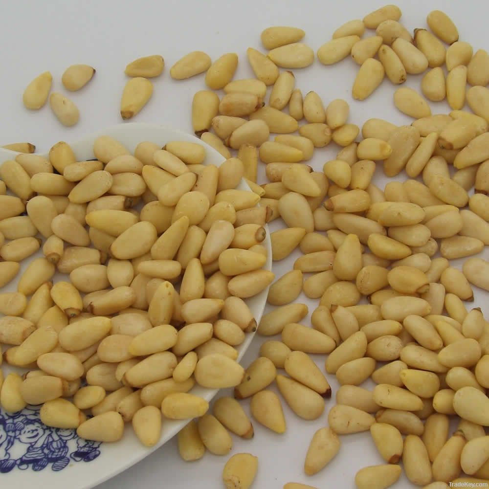 PINE NUT SEED