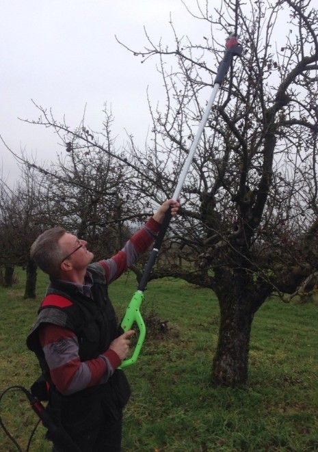 Professional electric pruner