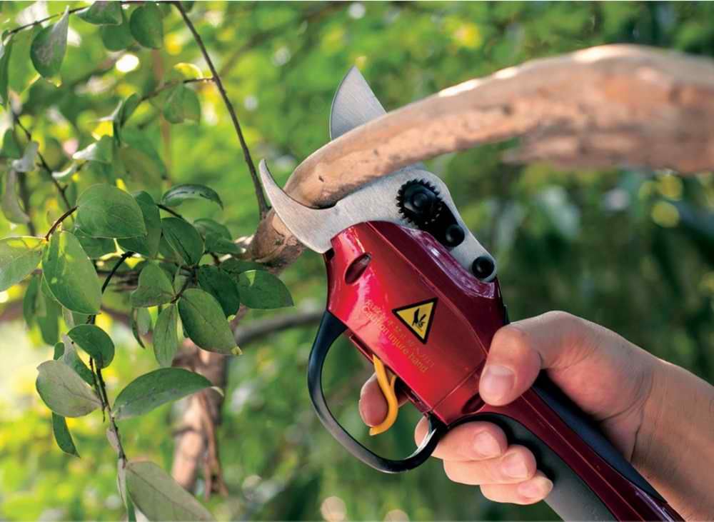 Electric pruner, Electric garden shears,Electric pruning shears,