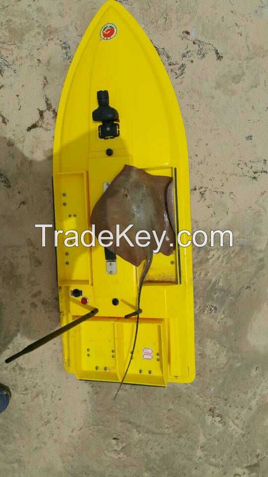 Large Loading Bait Capacity  Bait Boat for Fishing