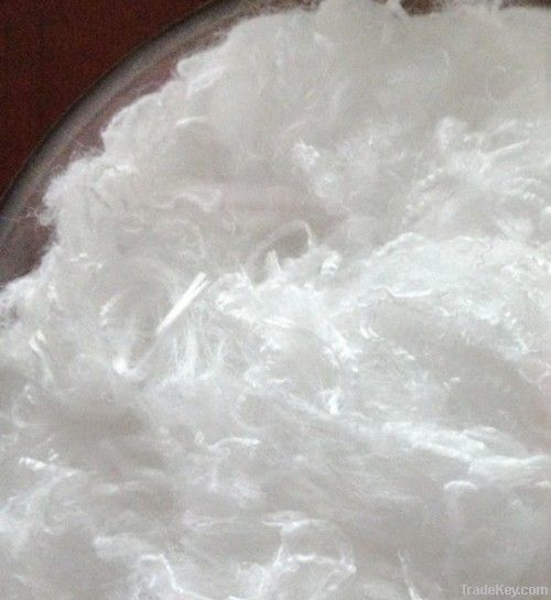 ptfe staple fiber