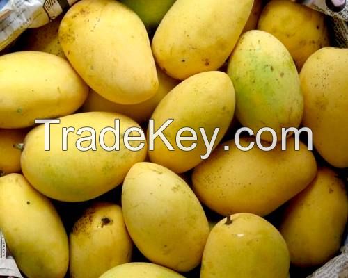 Green Chaunsa Mangoes from Pakistan