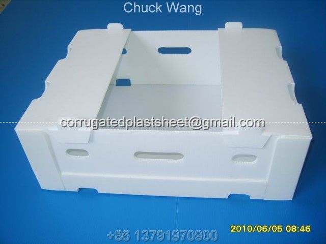 corrugated plastic sheet and box