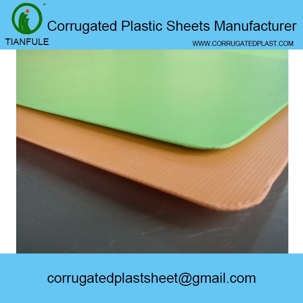 PP/PE Corrugated plastic sheet or corriboard