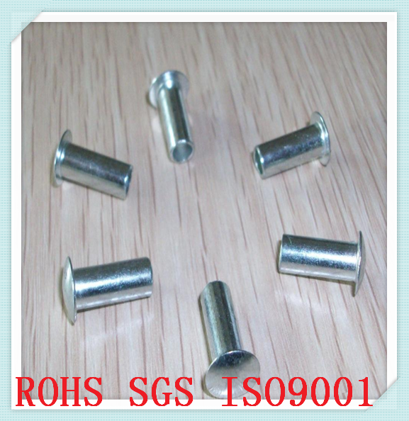 stainless steel alloy rivets/brass pop rivets/hex head rivet/tapping rivet