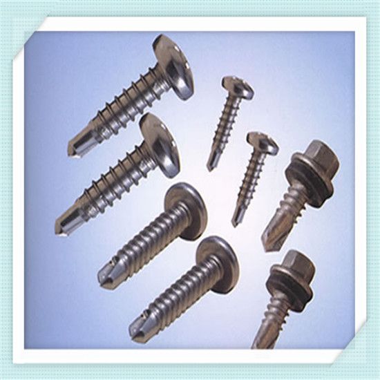 supplier stainless steel screws/self tapping screw/self drilling screw