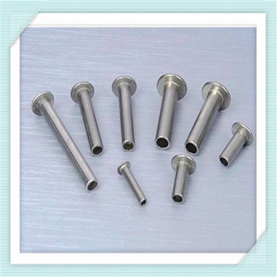 stainless steel alloy rivets/brass pop rivets/hex head rivet