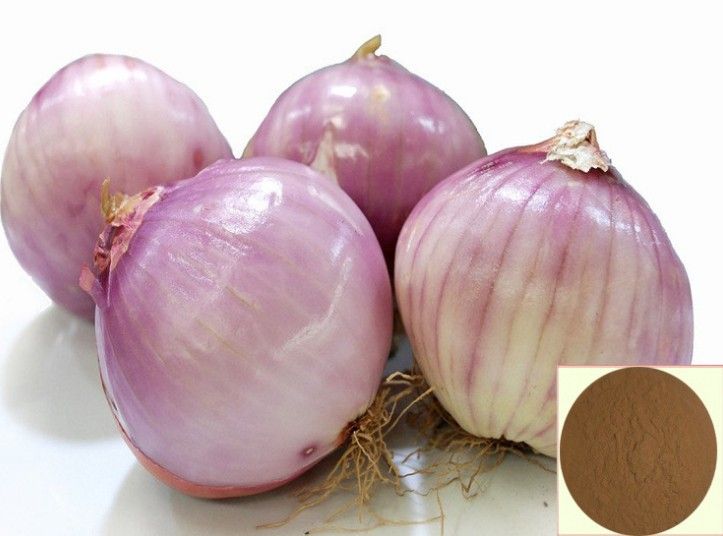 Onion extract, Quercetin 2%, 5%, 10%, 40%; 5: 1, 10: 1. 