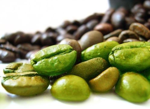 Green coffee bean extract