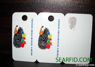 PVC abnormal shape card / PVC Non standard shape cards / Plastic Cards