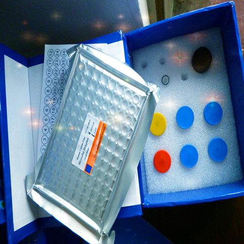 Chicken Immunoglobulin G,IgG ELISA Kit 