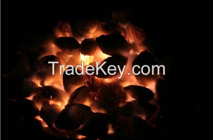 HOT HOT!! Bamboo BBQ Briquette charcoal,sales to Russia,Korea,Turkey Price